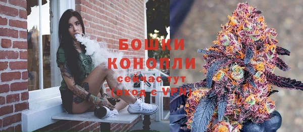 дживик Новодвинск