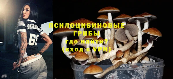 индика Бугульма